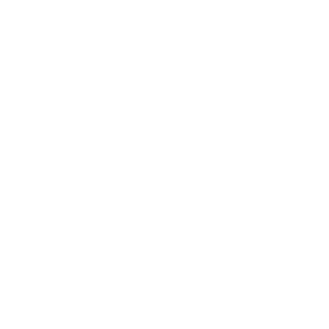 seo ecommerce